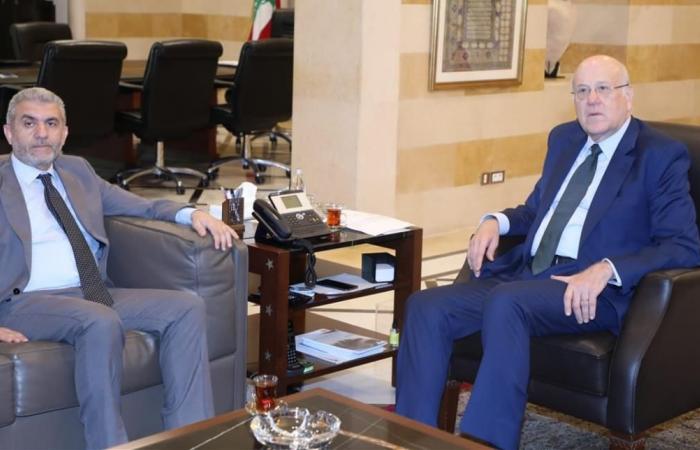ميقاتي استقبل ورونيكا... وماذا قال وزير العمل عن الرواتب؟