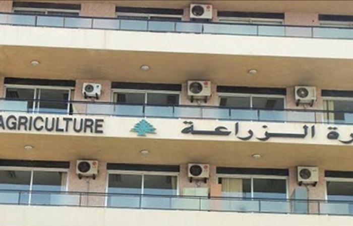 إعلانُ من وزارة الزراعة.. ماذا فيه؟