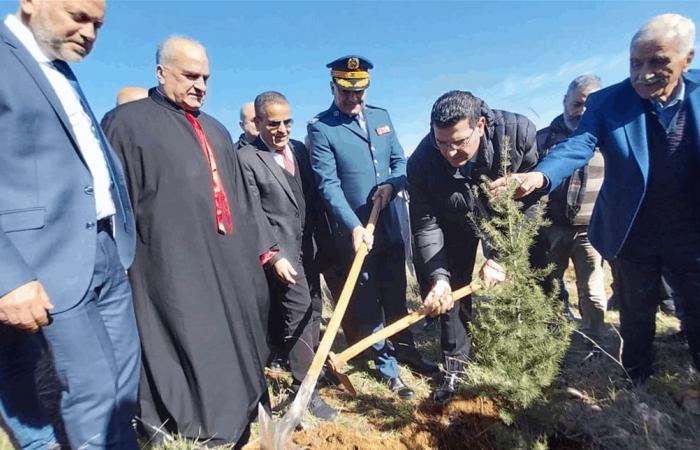 الحاج حسن: ما الذي يمنع من تشكيل الهيئة الناظمة للقنب الهندي؟