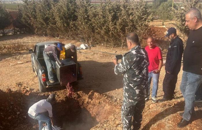 بلدية تربل أتلفت 800 كلغ من الدجاج الفاسد