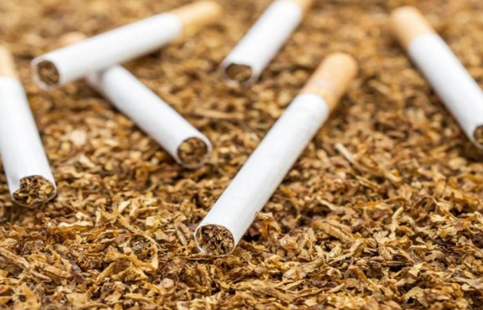 تبغ وألبسة مهرّبة بحافلة.. جمارك طرابلس تكشفها!