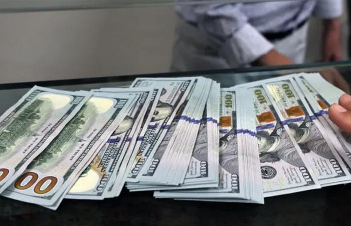 نجمة شهيرة تخسر 36 مليون دولار.. هذا ما حصل معها (صورة)