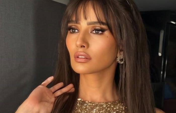 بسبب كلب.. زينة أمام النيابة