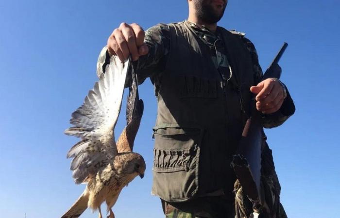 اصطاد طيورًا مهدّدة بالانقراض… و”الأمن” بالمرصاد