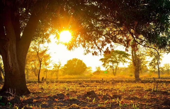 طقس خريفي يسيطر على لبنان.. إليكم التفاصيل