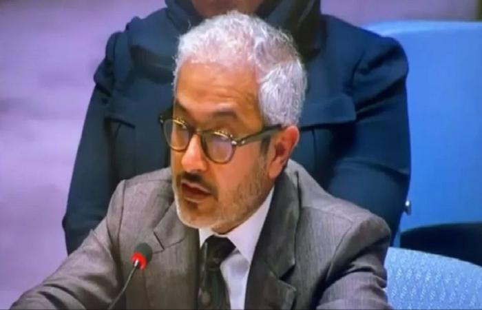 مندوب الإمارات: الجيش والدعم السريع خارج مستقبل السودان