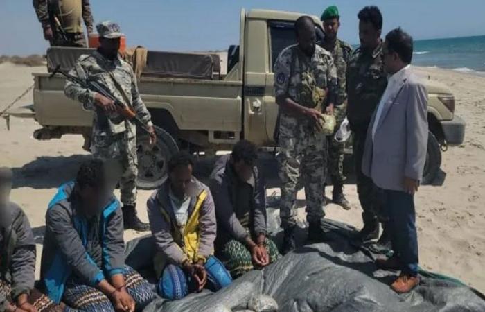 السلطات اليمنية تضبط شحنة عسكرية كانت في طريقها للحوثيين