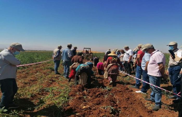 وزارة الزراعة تتحرّك لحماية سلامة الغذاء