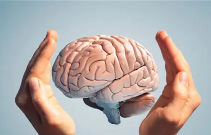 الشيخوخة الدماغية.. هل تختلف بين الرجال والنساء؟