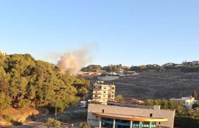 إسرائيل: قتلنا عنصرًا من “قوة الرضوان” في النبطية