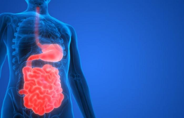 احذروها.. عادة شائعة تعيق الهضم الطبيعي