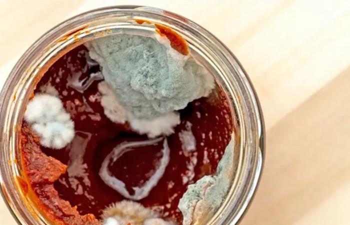 هل يجب استعمال معجون الطماطم بعد إزالة العفن؟ دراسة تجيب