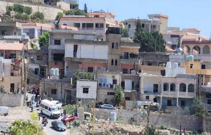 قنبلة صوتية أثناء كشف ميداني للجيش واليونيفيل!