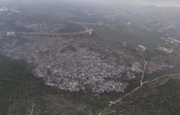 كارثة بيئية غير مسبوقة… زلزال اليباس يهز أحراج لبنان