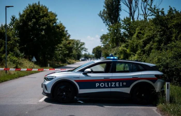 في النمسا… تخطيط من “حماس” لضرب أهداف أوروبية!