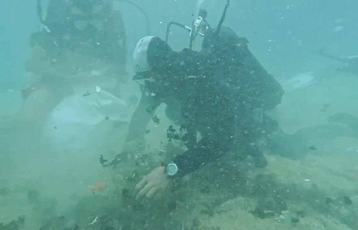 بالصور: تنظيف الشير الصخري في الروشة