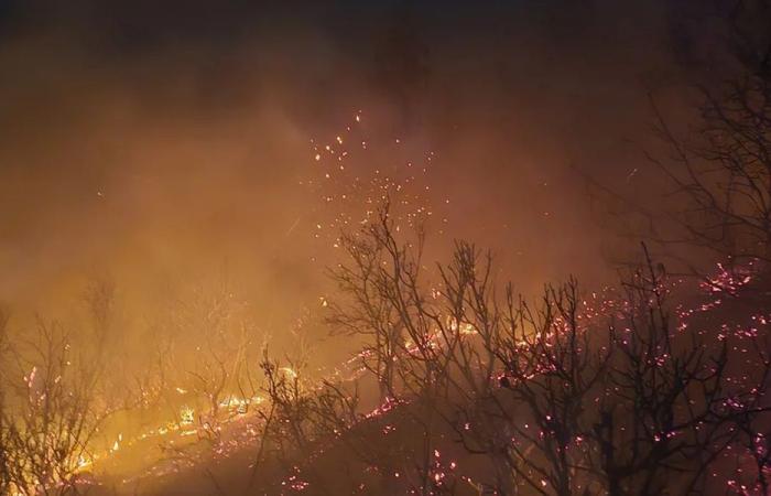 غارات إسرائيلية تتسبب بحرائق واسعة في الجنوب