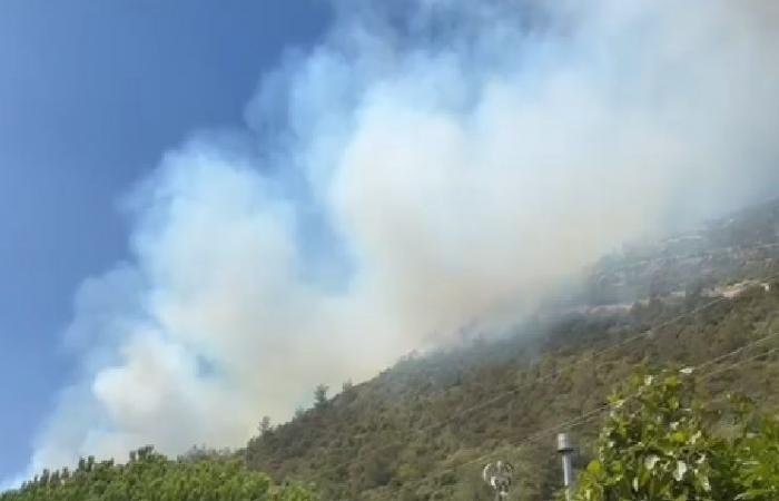 إخماد حريقين في أنان والحمصية – جزين