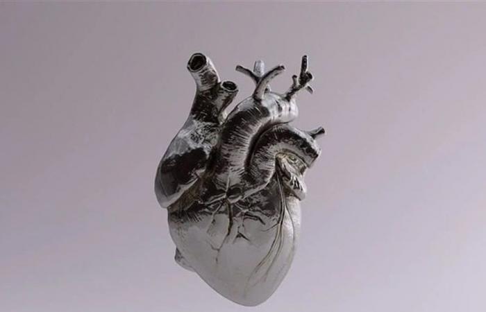 لعلاج تلف القلب.. علماء يبتكرون خلايا جذعية قابلة للطي