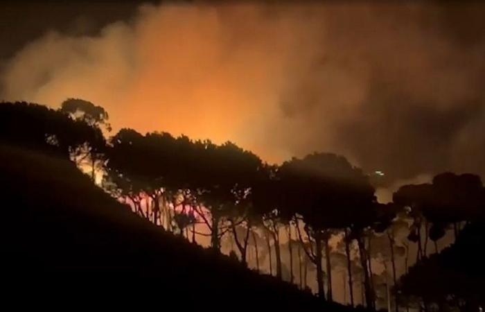 الحرائق تلتهم أحراج لبنان… إبادة بيئية وإهمال وقدرات محدودة