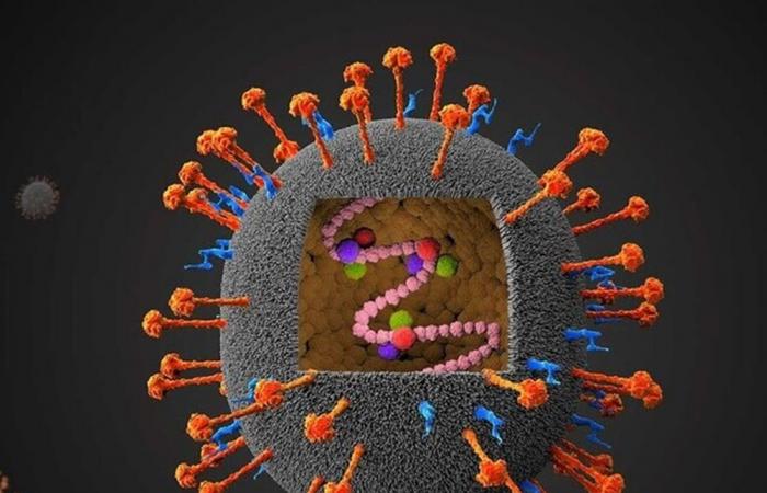 أكثر فتكاً من "كورونا"... فيروس لا شفاء منه ينتشر وهذا عدد المصابين به