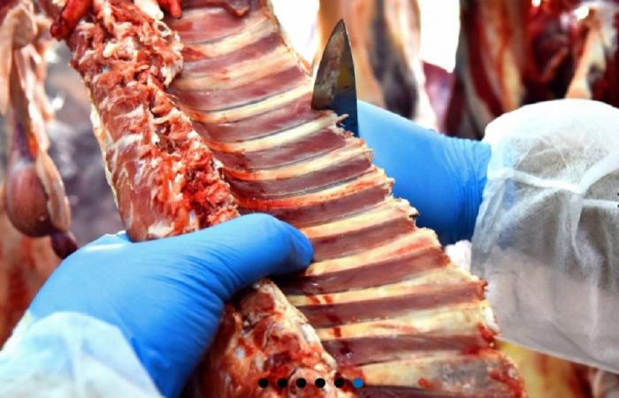 ضبط نحو 150 كيلوغرامًا من اللحوم الفاسدة في صور!