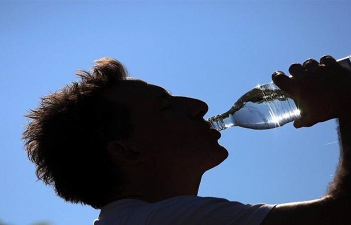 ما تأثير الماء على عمل الدماغ؟