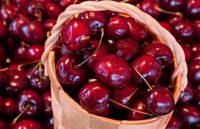 الكرز.. فاكهة صغيرة بفوائد كبيرة للجسم والصحة!