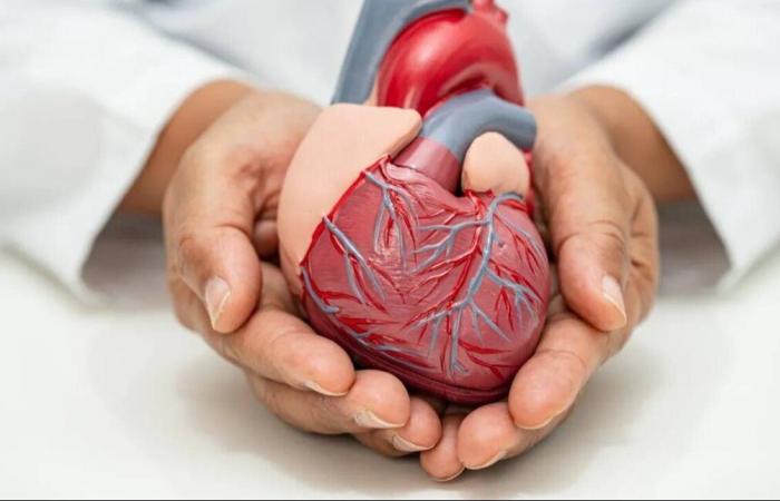 خطوات بسيطة تحمي قلبك من الأمراض