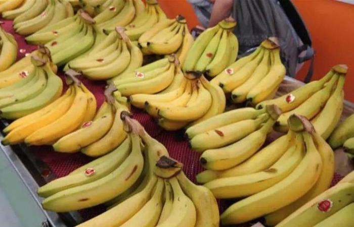 الموز.. فاكهة مليئة بالفوائد الصحية