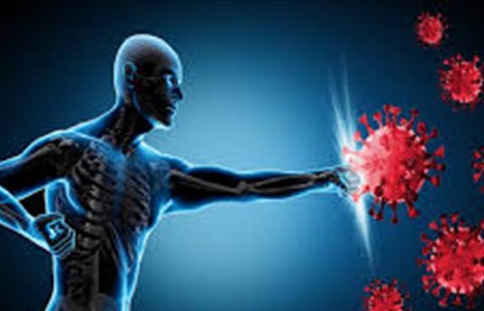 نصائح طبية لتعزيز جهاز المناعة مع تغيرات الطقس