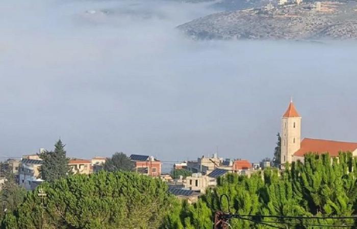 صرخةٌ من أهالي عين إبل… “نُريد دولتنا”!