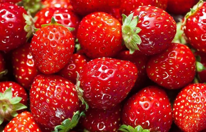 فاكهة محبوبة.. ماذا تعرف عن فوائد "الفريز"؟