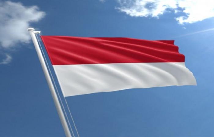 إندونيسيا: لإجراء تحقيق شامل في مقتل جنود لحفظ السلام