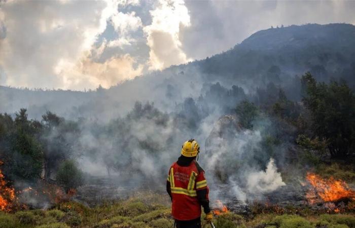 دخان حرائق الغابات قد يرفع خطر الإصابة بأنواع من السرطان.. اليكم ما كشفته آخر الدراسات