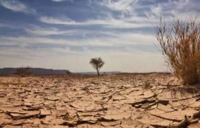 إنشاء وحدة تنسيق مشتركة لمتابعة مشاريع المناخ والصحة