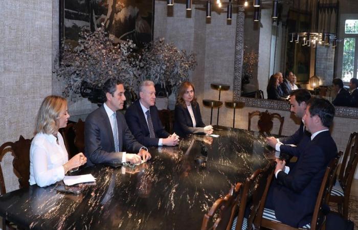 رجي بحث مع نائب أوروبي مسار المفاوضات اللبنانية – الإسرائيلية