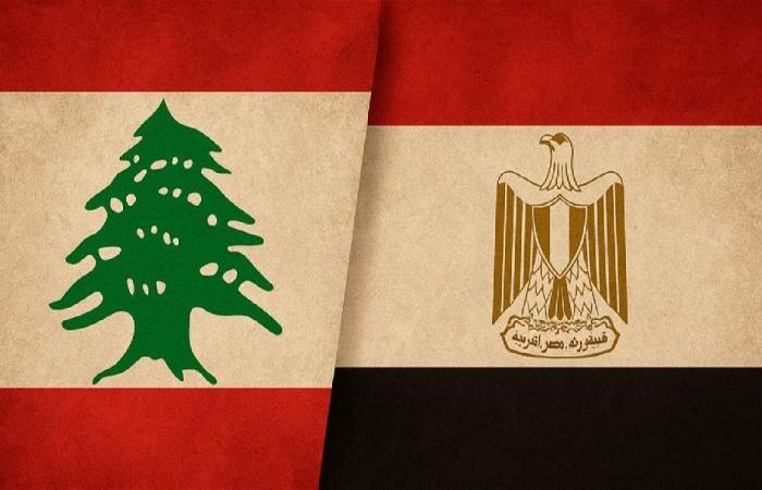 مصر تدين العدوان على لبنان: لتنفيذ القرار 1701