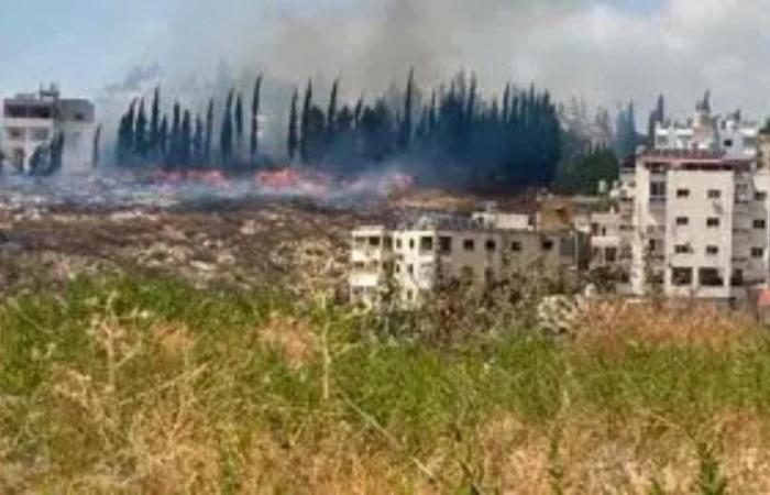 حريق في ضواحي عين بعال