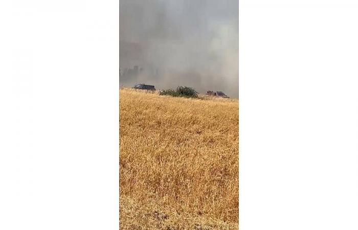 حريق يلتهم مساحات واسعة من حقول القمح في البقاع الغربي
