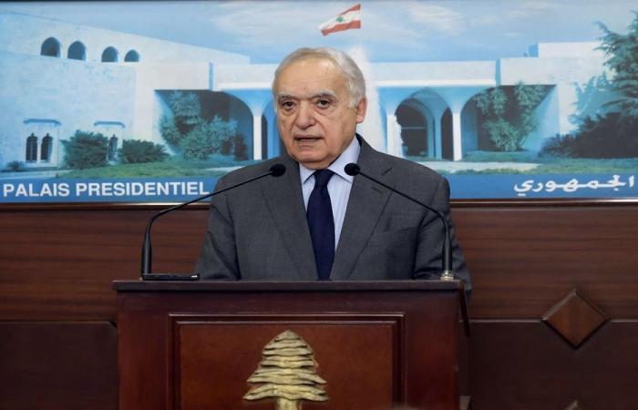 سلامة يبحث نشاط لبنان في المنظمات الدولية