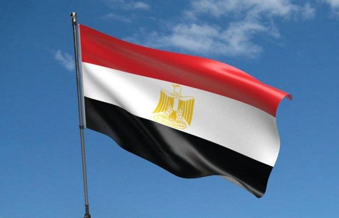 مصر تدعو لتمكين لجنة إدارة غزة