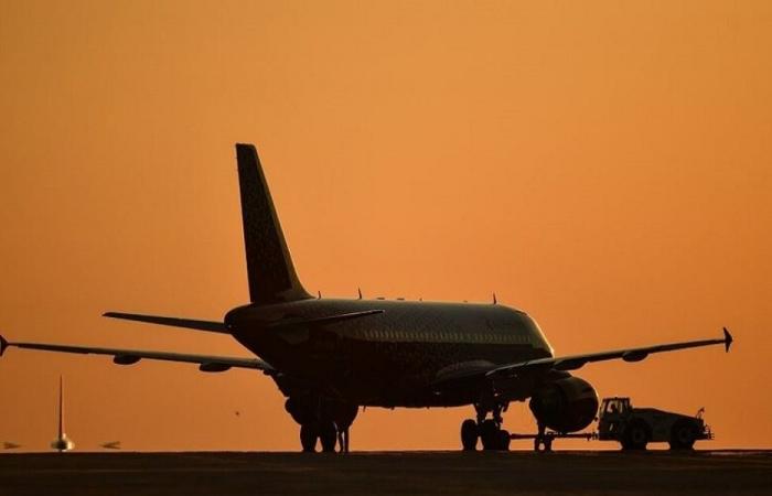 25 حالة اصطدام بين الطيور والطائرات خلال عام