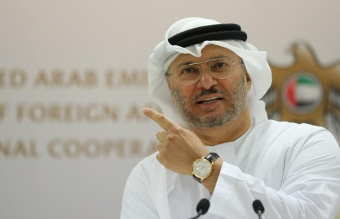 قرقاش: سياسة استهداف دول الخليج والأردن أثبتت فشلها