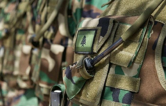 الجيش: تفجير ذخائر في بلدة كامد اللوز