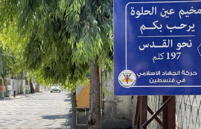 جريج في إطلاق نار داخل مخيم عين الحلوة
