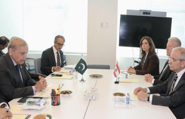رجّي: لا أحد يفاوض باسم لبنان إلا الدولة