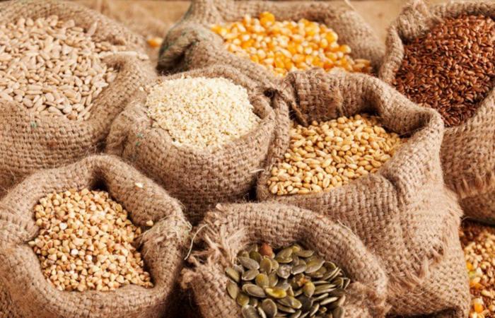 إعفاء بذور الخضر من الرسوم الجمركية