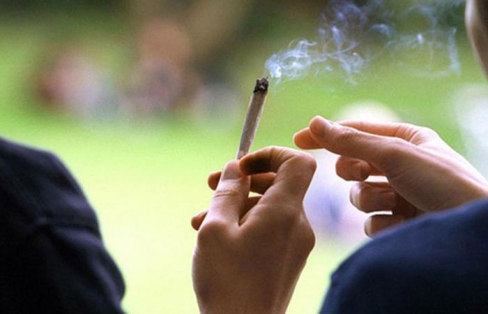 معطيات جديدة في ملف “شبكة المخدرات الدولية”