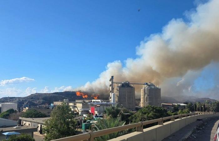 فتح تحقيق قضائي في حريق جبل النفايات في صيدا
